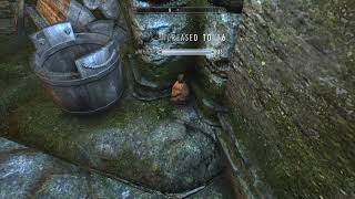 Fake money bait - Skyrim