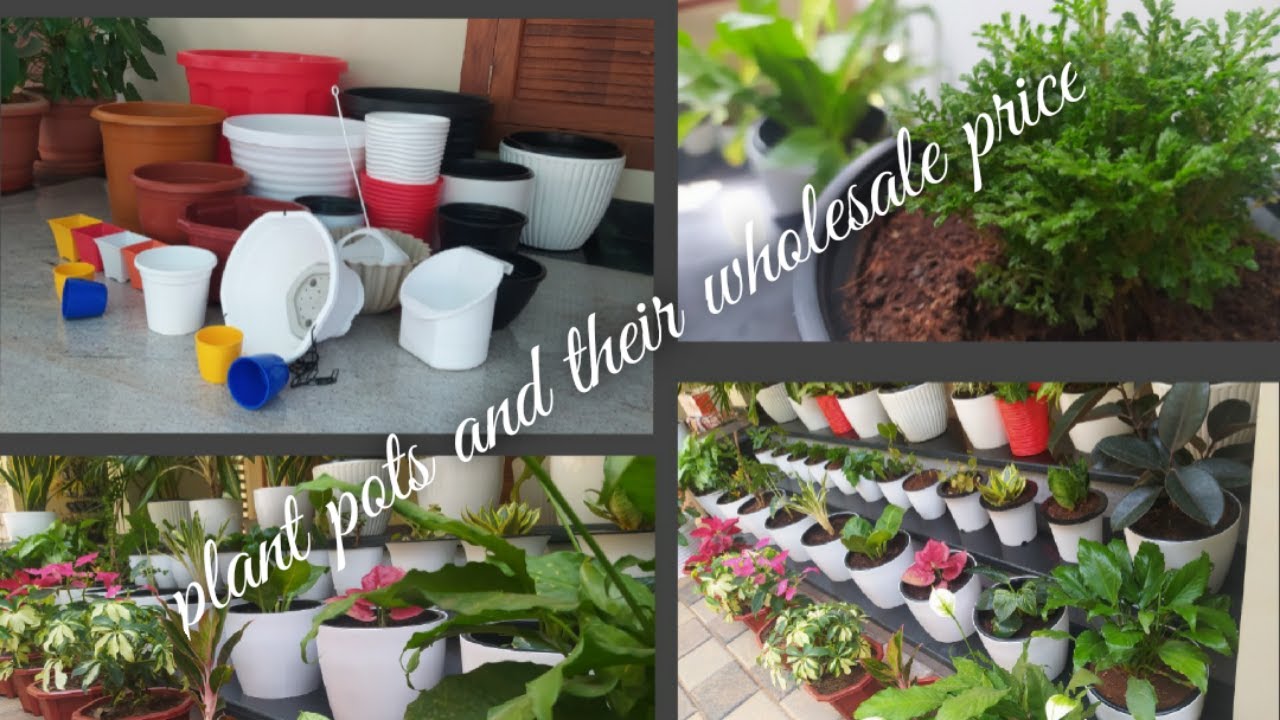PLANT POTS and their details/cheap price/affordable/mannuthy/sumees