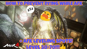 MIR4 AFK EXP GUIDE AND TIPS FOR NOT DYING + BEST EXP HUNTING LOCATIONS!
