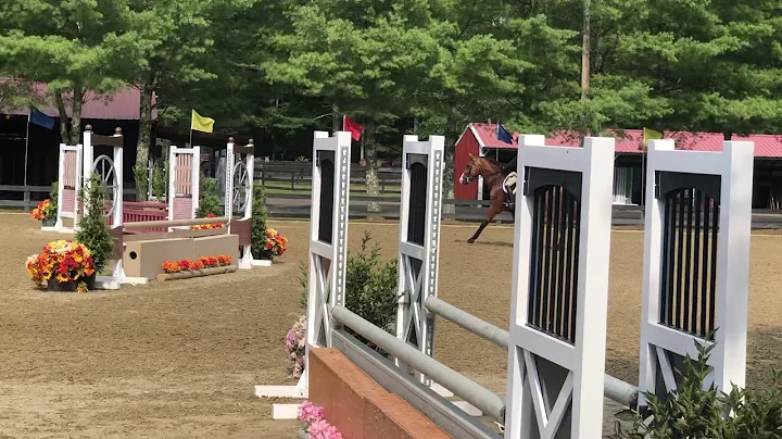 Stella & Zenith UHS - Hunters Fieldstone