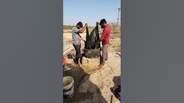 #handblock #blockprint #handblockprint #natural color #naturalgreencolor#