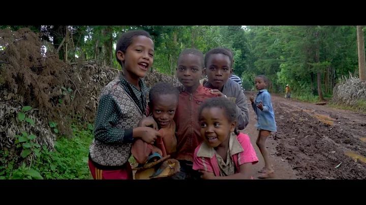 An introduction to the Programme for Country Partnership – Ethiopia, Senegal and Peru