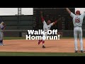 Walk-Off Homerun For Hank Aaron | MLB The Show 21