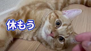 休日が退屈なあなたへ。