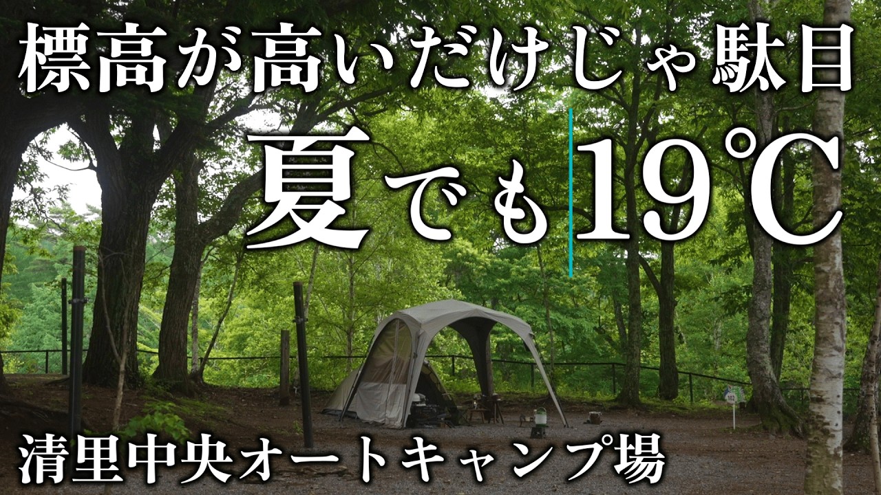 Cozy camping in the cool forest during the scorching summer