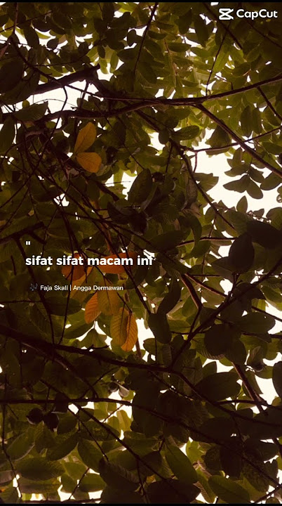 FAJA SEKALI - Angga Dermawan #indonesiansongs #asik #gabutzz #edit #lyricvideo