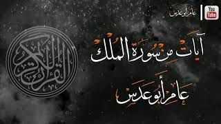 #آيات_من_سورة_الملك|#السورة_المنجية|#عامر_أبوعدس