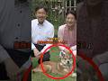 海外メディアが天皇ご一家の家族写真を見て驚愕した理由