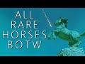 All Rare Horses & Where to Find Them - BOTW