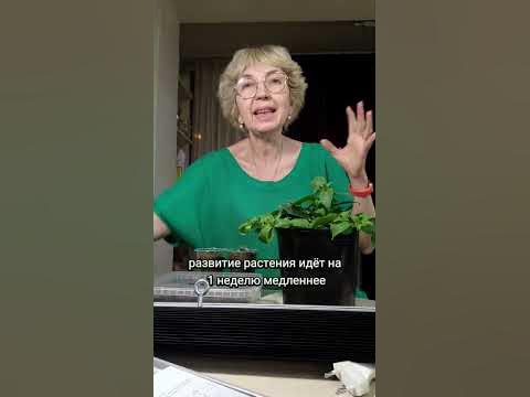 лампы для рассады. какую выбрать #рассада #фитолампа - YouTube
