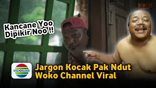 Kancane Yoo Dipikir Noo, Pak Ndut Viral  || Woko Channel terbaru