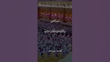 وَأَنَّا لَمَّا سَمِعْنَا الْهُدَىٰ || سورة الجن || علي جابر