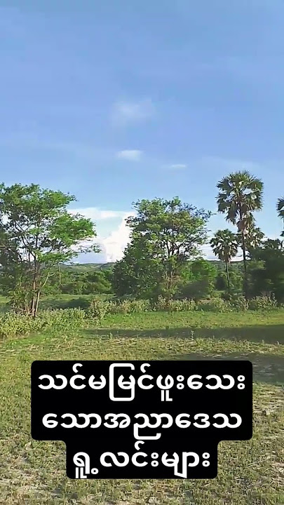 #shortvideo သင်မမြင်ဖူးသေးသောအညာဒေသရူ့ခင်းများ #nature #duet