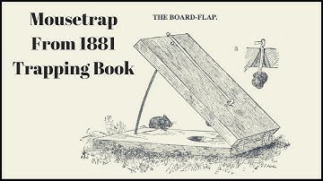 Mousetrap From a 1881 Trapping Book. The BOARD-FLAP Trap - Mousetrap Monday