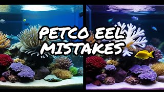 The Mistakes I Made with my Petco Snowflake Eel