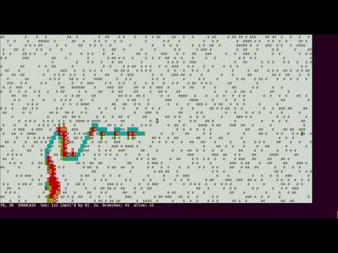 patFind path-finding algorithm - second set of tests