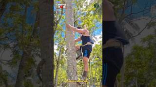 Amazing Coconut Tree Climbing Tool