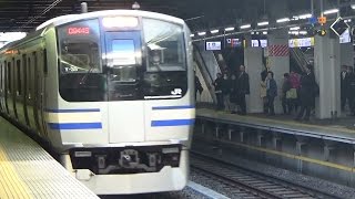 E217系 横須賀・総武快速線 エアポート成田 グリーン車 品川→船橋 2016.03.17