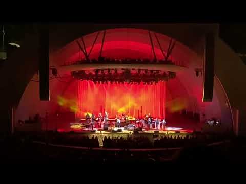 Steely Dan plays