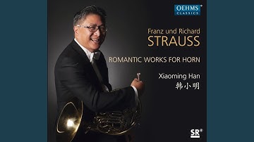 Thema und Variationen, Op. 13