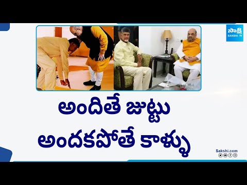 అందితే జుట్టు.. అందకపోతే కాళ్ళు |Reason Behind Chandrababu Delhi Tour | TDP, BJP Alliance? @SakshiTV - SAKSHITV