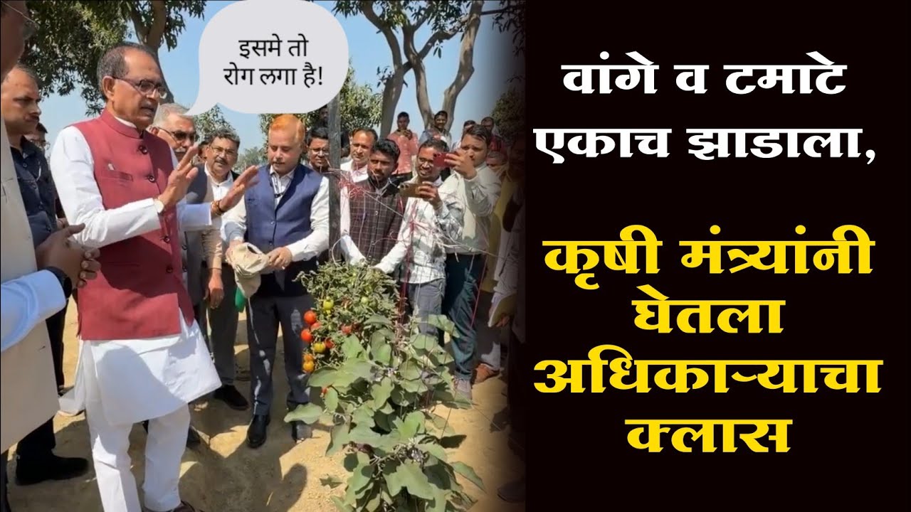 कृषी मंत्र्याने घेतली अधिकऱ्यांची क्लास,शिवराज सिंग चौहान चांगलेच भडकले!