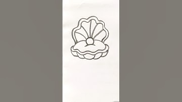 oyster pearl drawing #oysters #pearl #seashell #shorts