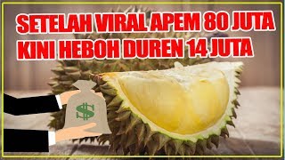 Duren Seharga 14 juta bukan HOAX! Ada Kelebihan tersendiri