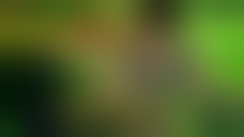 [Download] new mod Dbz Shin Budokai 2 DBS AND DBG-new mods 2019 DOWNLOAD