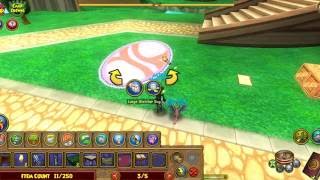 Wizard101 Glitch: Floating Rug