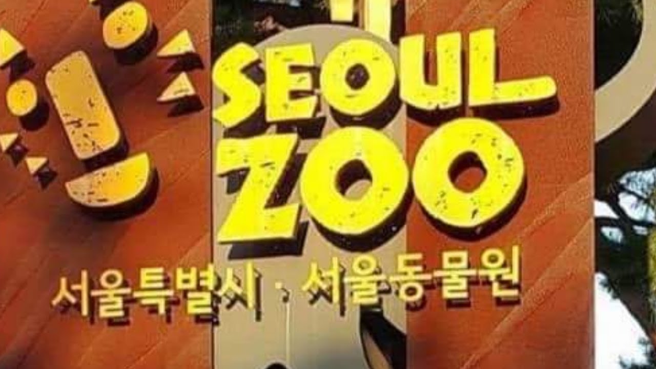 Seoul Zoo in South Korea - YouTube
