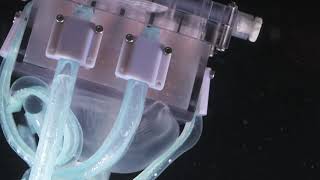 2019 Ultragentle manipulation of delicate structures using a soft robotic gripper 2 screenshot 5