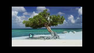 just kiddin -come together (extended mix)