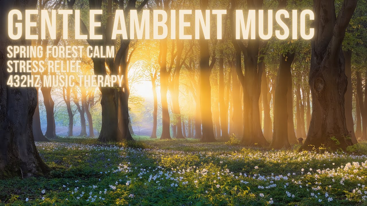 Spring Forest Calm | Gentle Ambient Music for Stress Relief | 432 Hz ...