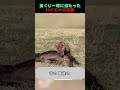 宝くじ一等に当たったハイエナの末路