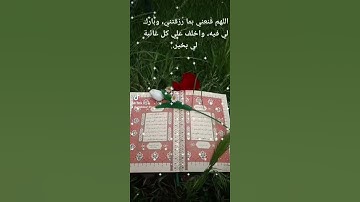 حالات واتس مقاطع فيديو قصير 🕊️سوره البقره