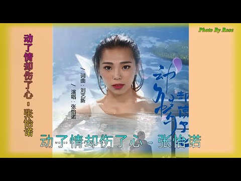 【动了情却伤了心】演唱：张怡诺