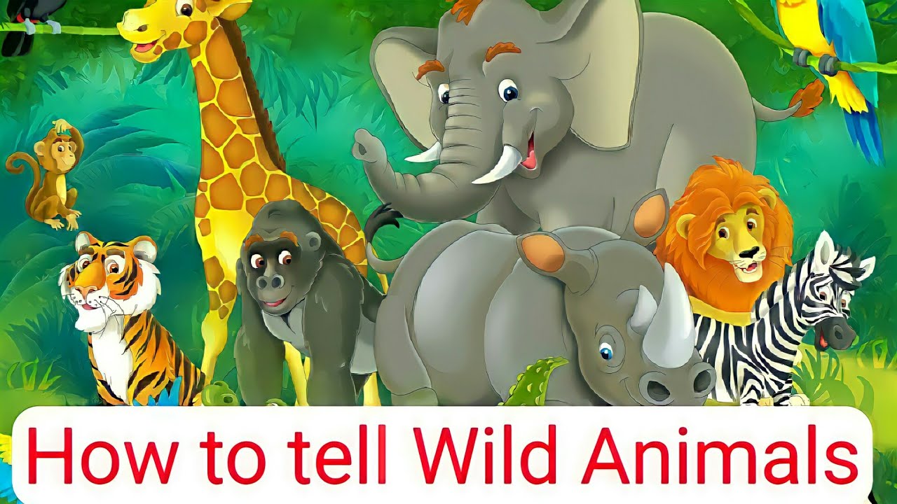 How to Tell Wild Animals Questions and Answer PDF