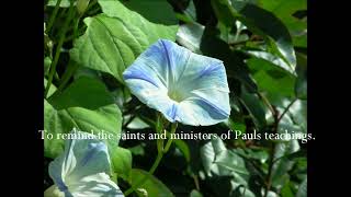 Springing up into everlasting life