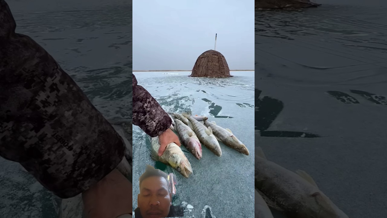 Omg big fish under the ice 🧊.  