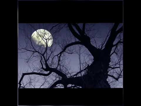 تخطر وان اليل الماسي الفنان عبد الباسط القطعاني من اغاني الزمن الجميل ليبيا