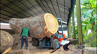 Super special bagong trembesi wood worth 750 million!! sawed using solid boards I Sawmill