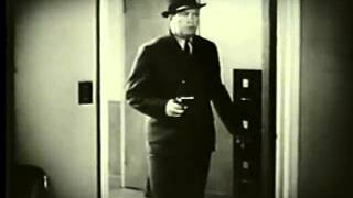 The Green Hornet