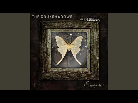 The Crüxshadows — Foreverlast (Night Version)