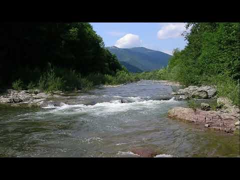 СЕРЕД ПОЛЯ ЧАРІВНИЦЯ МОВ КАРПАТСЬКА ТА КОСИЦЯ ГЕЙ Я ГОЯ ДАНА ДАНА