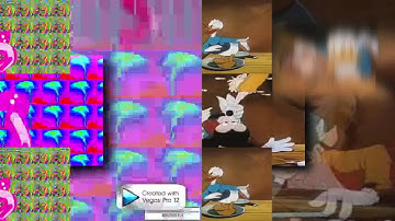 5 Shuric Scans With Are Slides