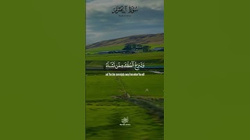 تلاوة بصوت القارئ احمد جمال من سورة آل عمران