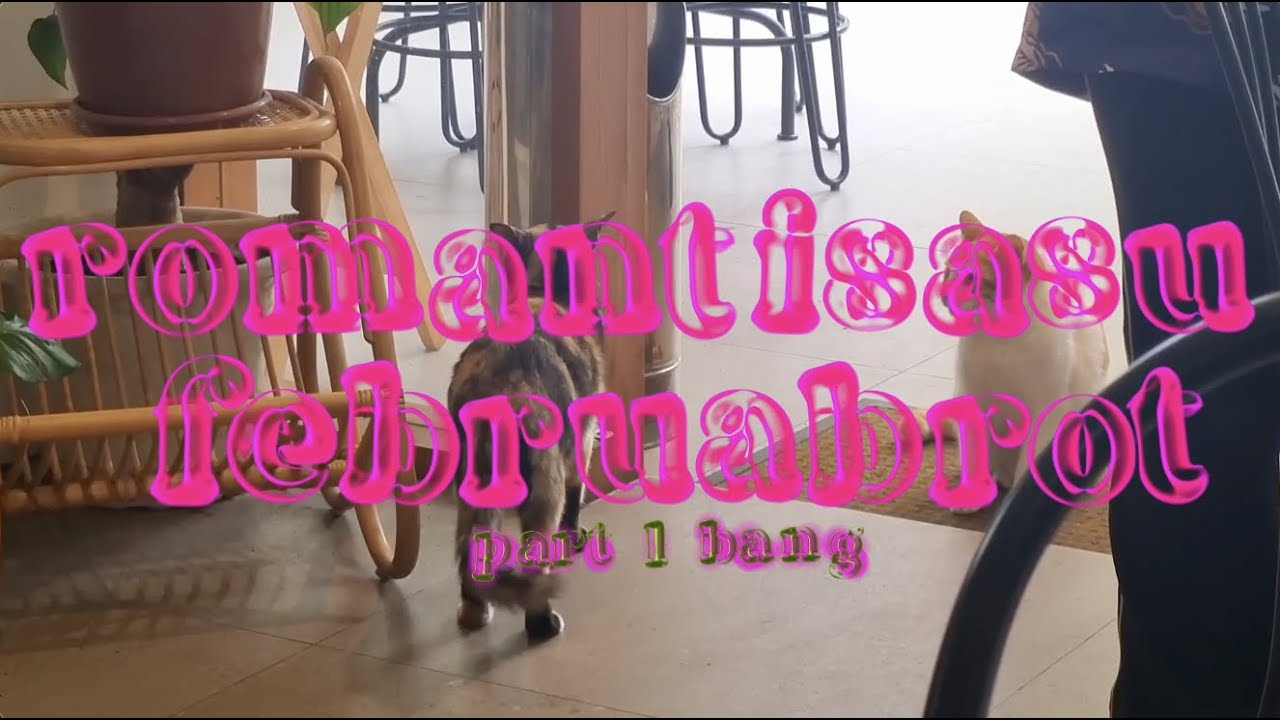 romantisasu februabrot pt. 1  (⌾⃝ ౪ ⌾⃝ ๑)⊃━