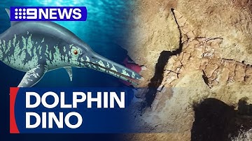 Fossil of marine reptile discovered in Queensland | 9 News Australia
