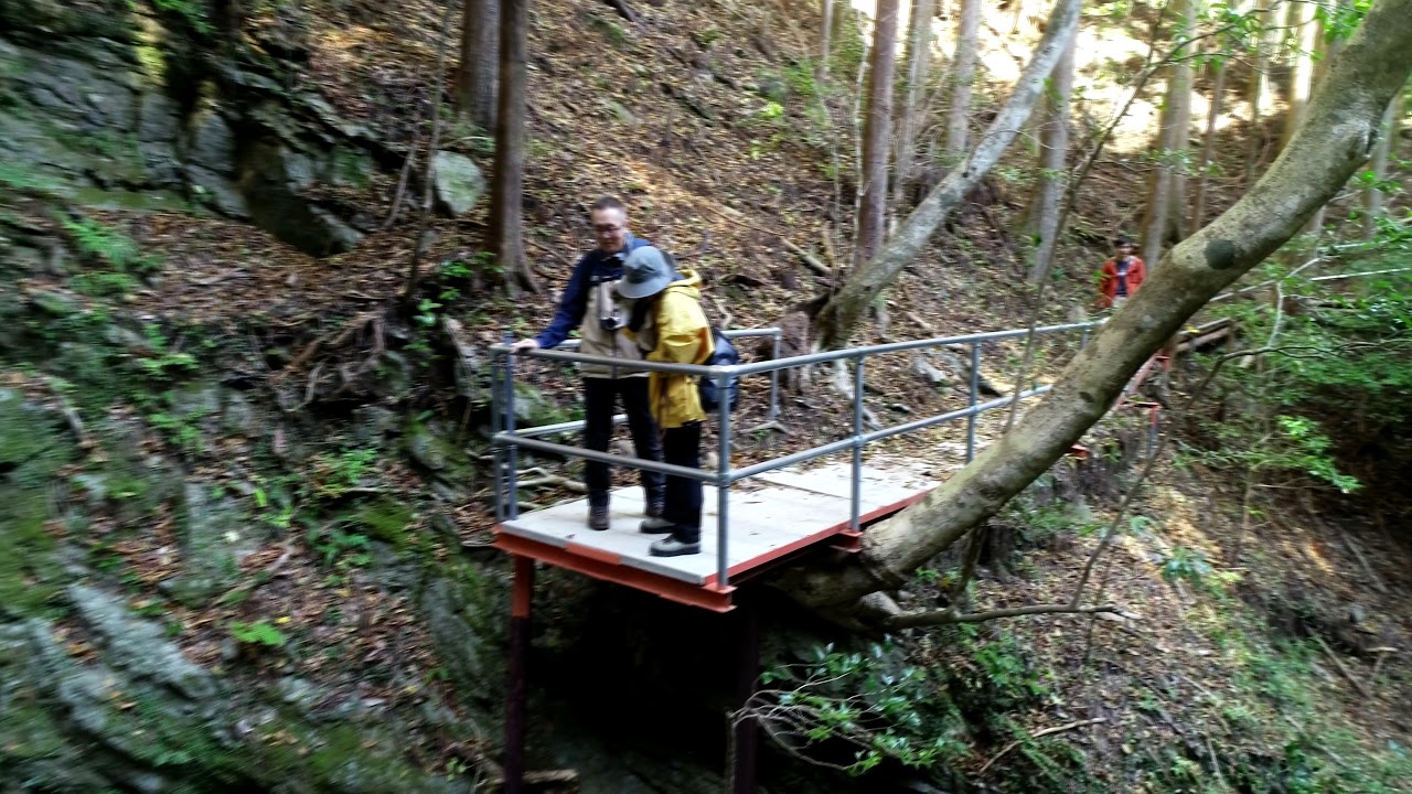 camera iphone 8 plus apk 森あそび体験会③　滝頭不動滝　Story（ジャックラッセルテリア）